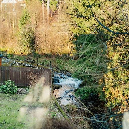 Ferienwohnung Kiefer Braunlage Esterno foto