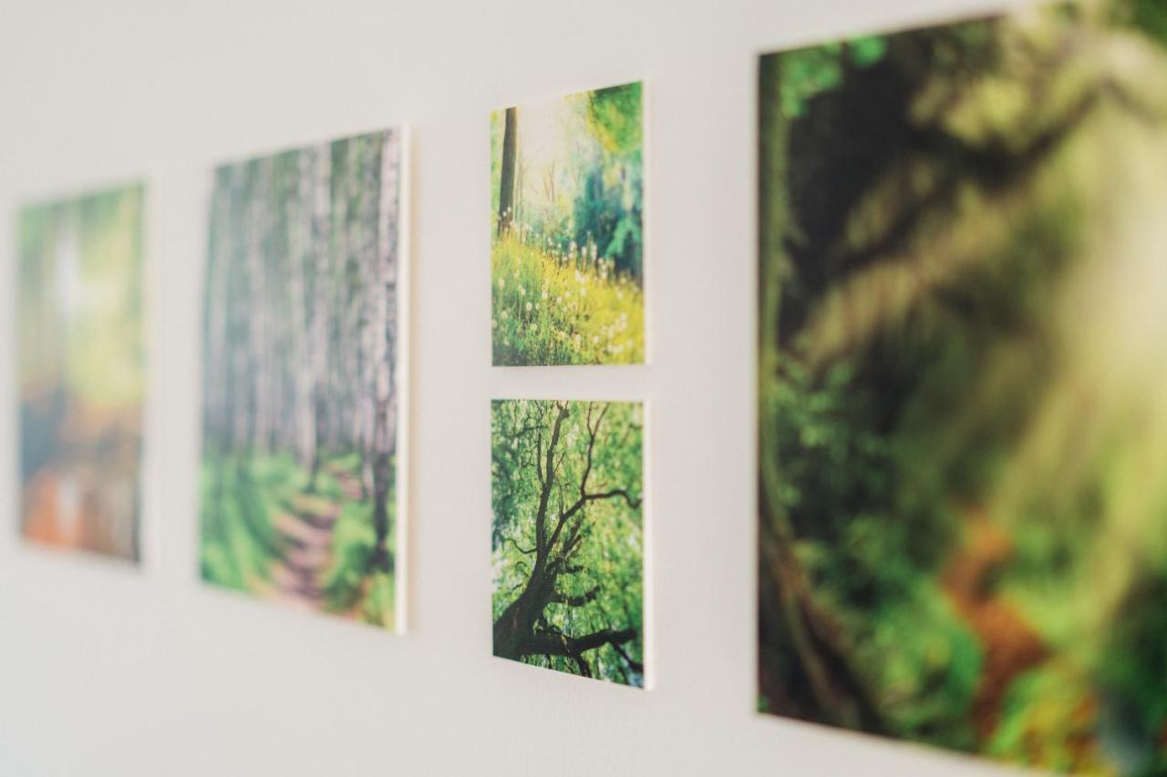 Ferienwohnung Kiefer Braunlage Esterno foto