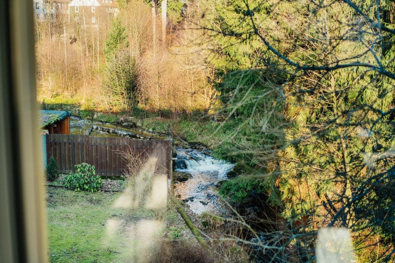 Ferienwohnung Kiefer Braunlage Esterno foto